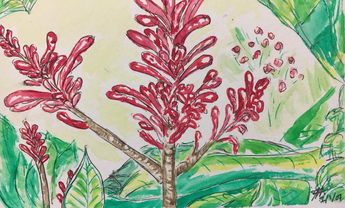 Hawaiian Ginger by Jennifer C.  Pierstorff 