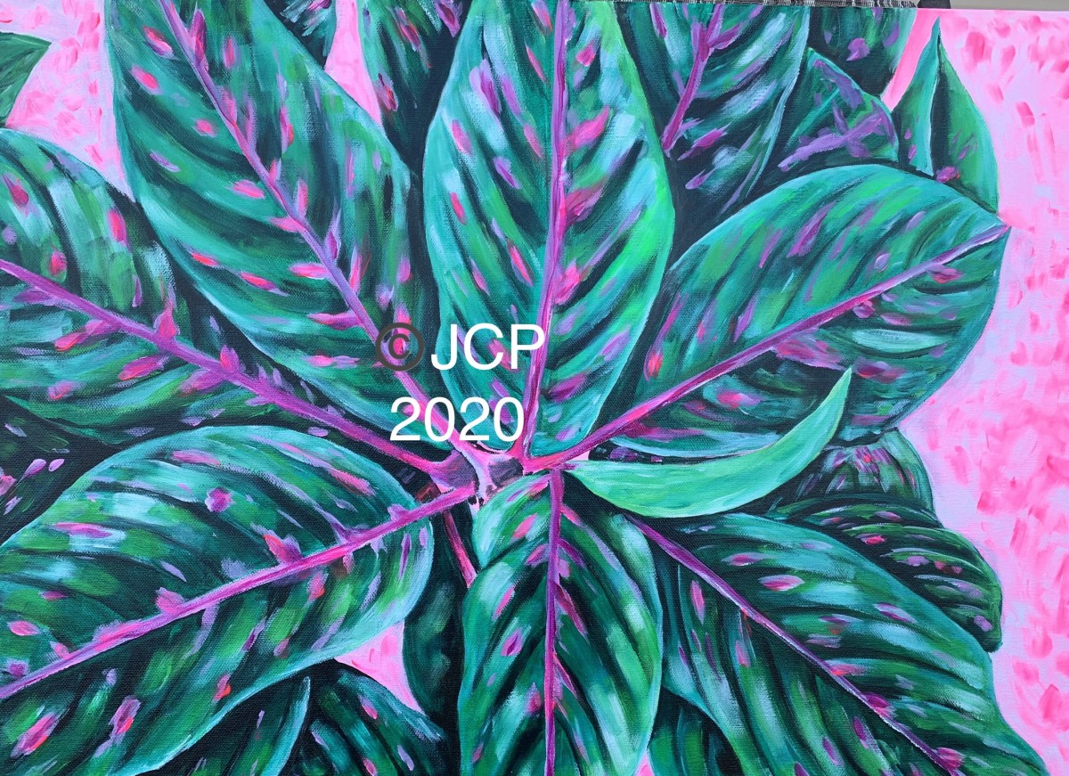 Pink and Green Leafies Soothe the Soul (PinkAlgaonema) by Jennifer C.  Pierstorff 