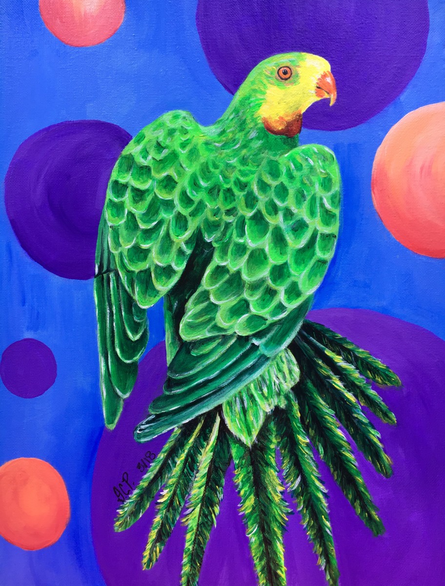 Little Miss Superb Parrot by Jennifer C.  Pierstorff 