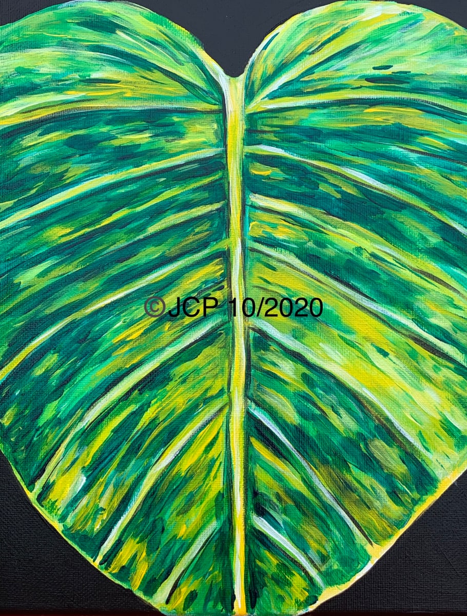 Giant Golden Pothos Leaf by Jennifer C.  Pierstorff 