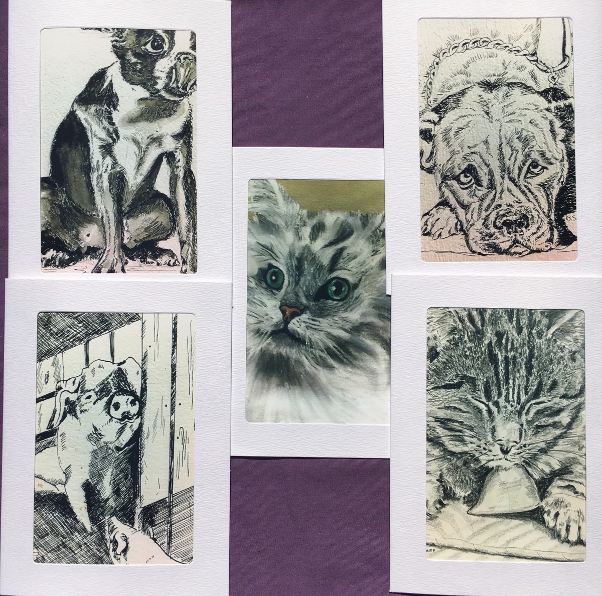 Mimi collection- animal lovers mix in black and white -5 pack  by Jennifer C.  Pierstorff 