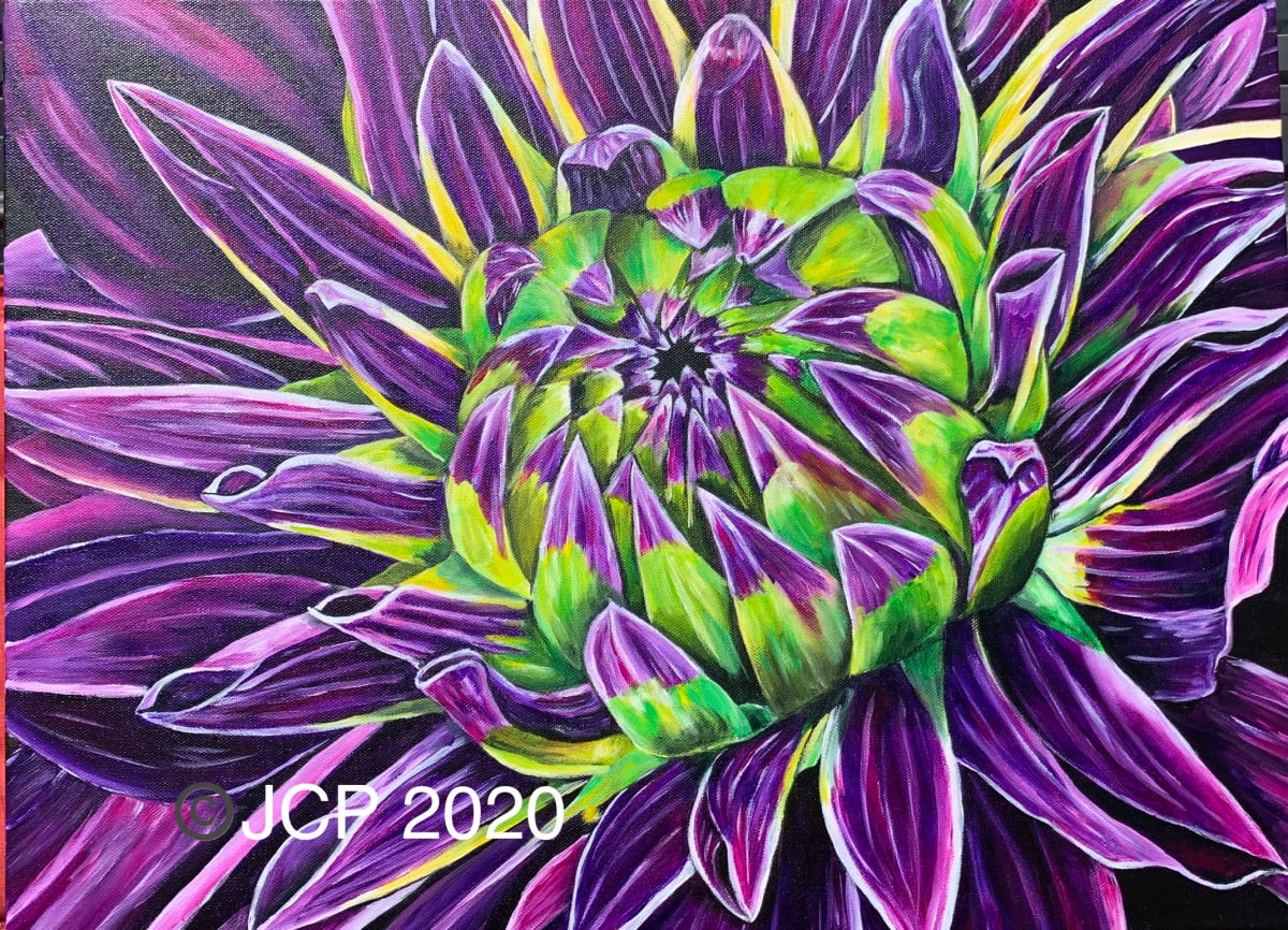Complementary Dahlia by Jennifer C.  Pierstorff 