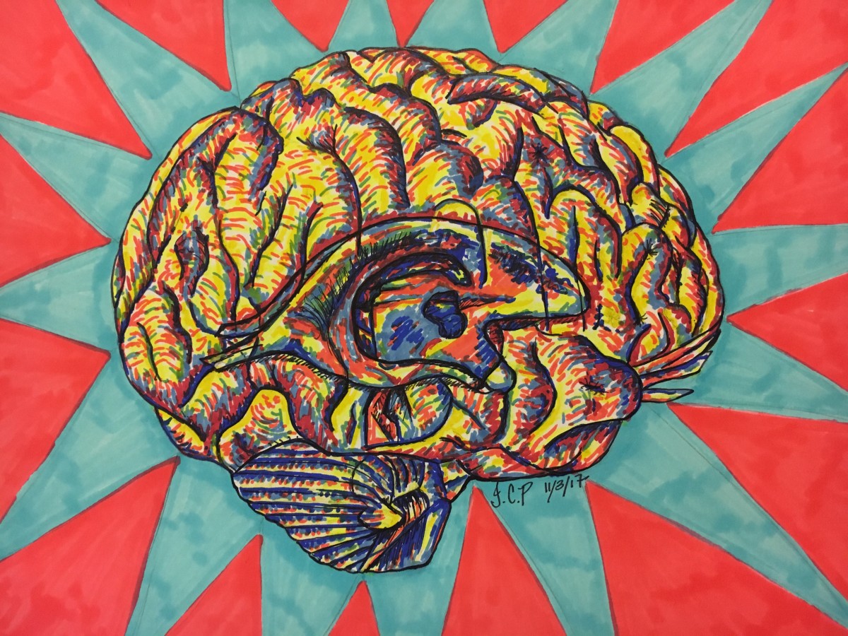 It’s a primary brain by Jennifer C.  Pierstorff 