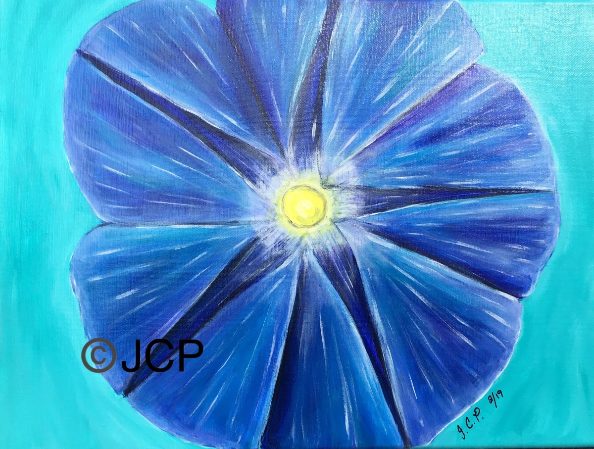 Bright Blue Morning Glory by Jennifer C.  Pierstorff 