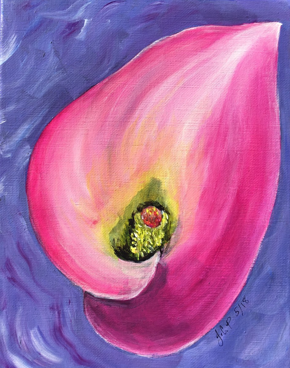 Calalily by Jennifer C.  Pierstorff 