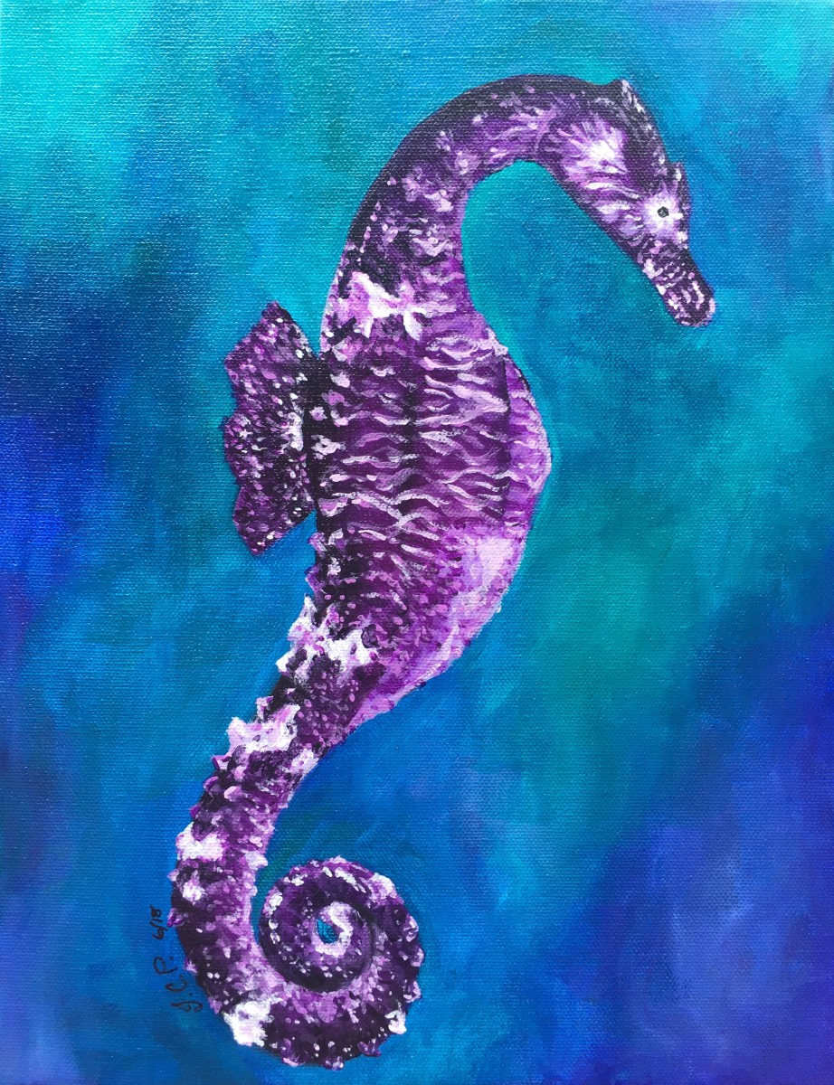 A Seahorse For Prince by Jennifer C.  Pierstorff 