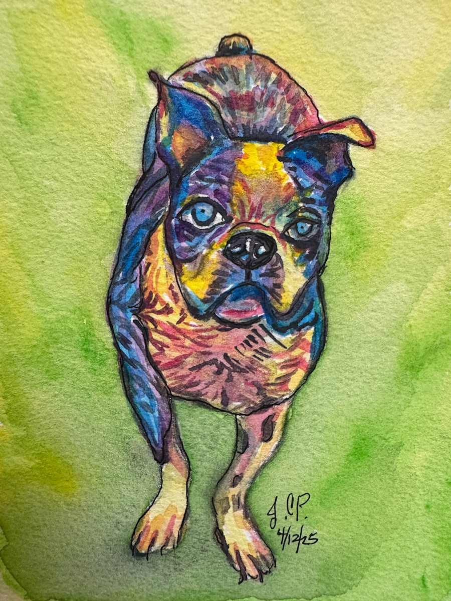 Murphy Eyeing the Treat in Your Hand. by Jennifer C.  Pierstorff 