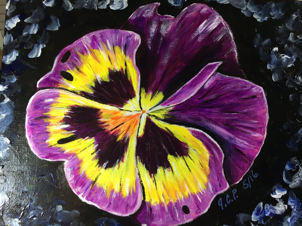 Purple Johnny Jump-ups by Jennifer C.  Pierstorff, Image 1.