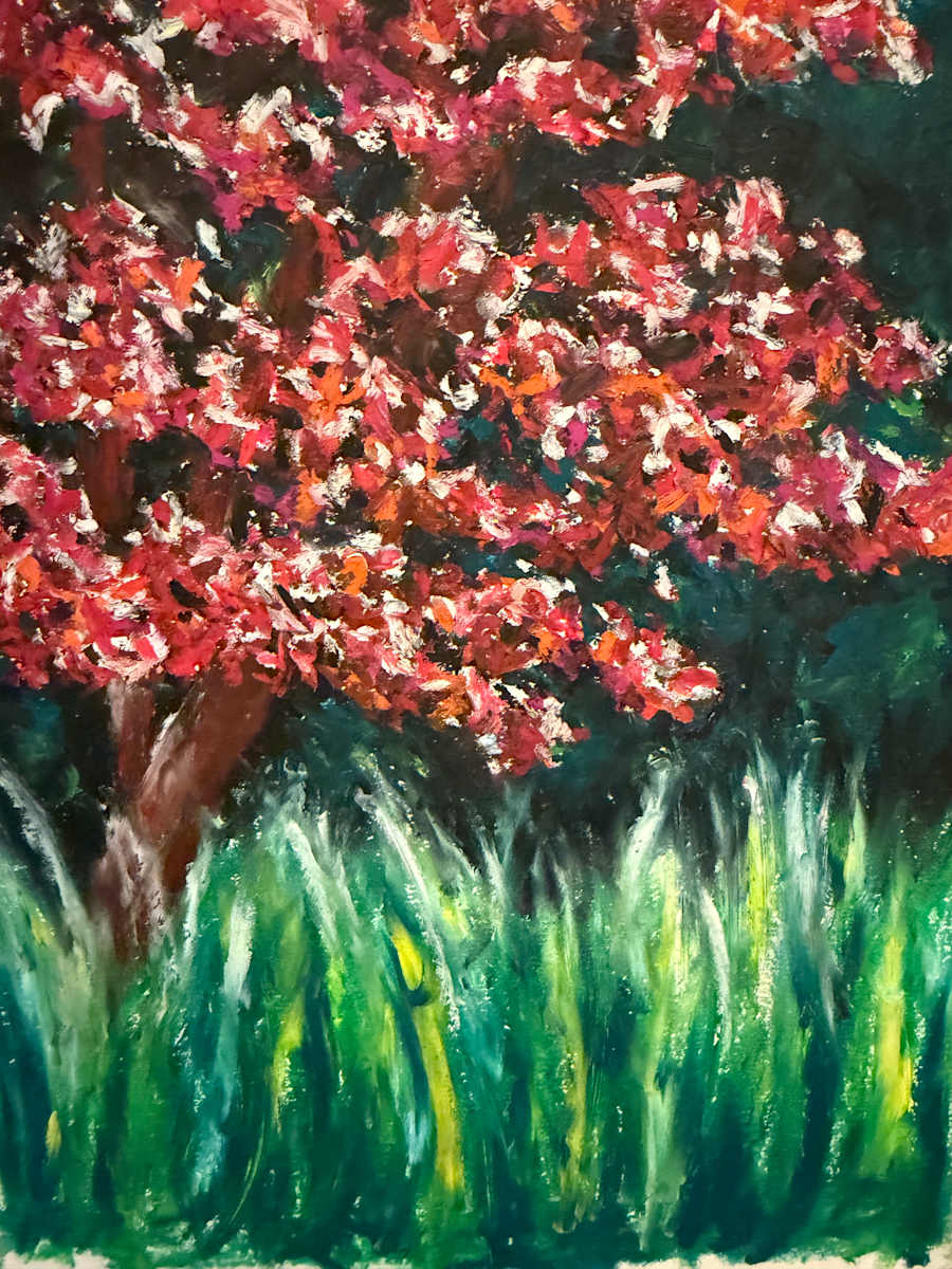 The Quiet Witness of the Japanese Maple by Jennifer C.  Pierstorff, Image 1.