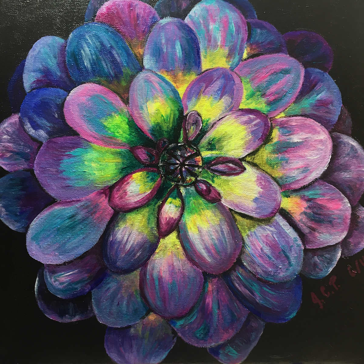 Rainbow Glow Dahlia by Jennifer C.  Pierstorff, Image 1.