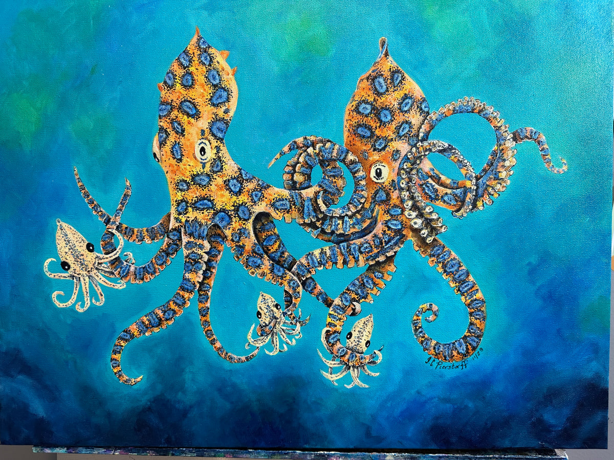 Blue Ring Octopus Family by Jennifer C.  Pierstorff  Image: finished piece