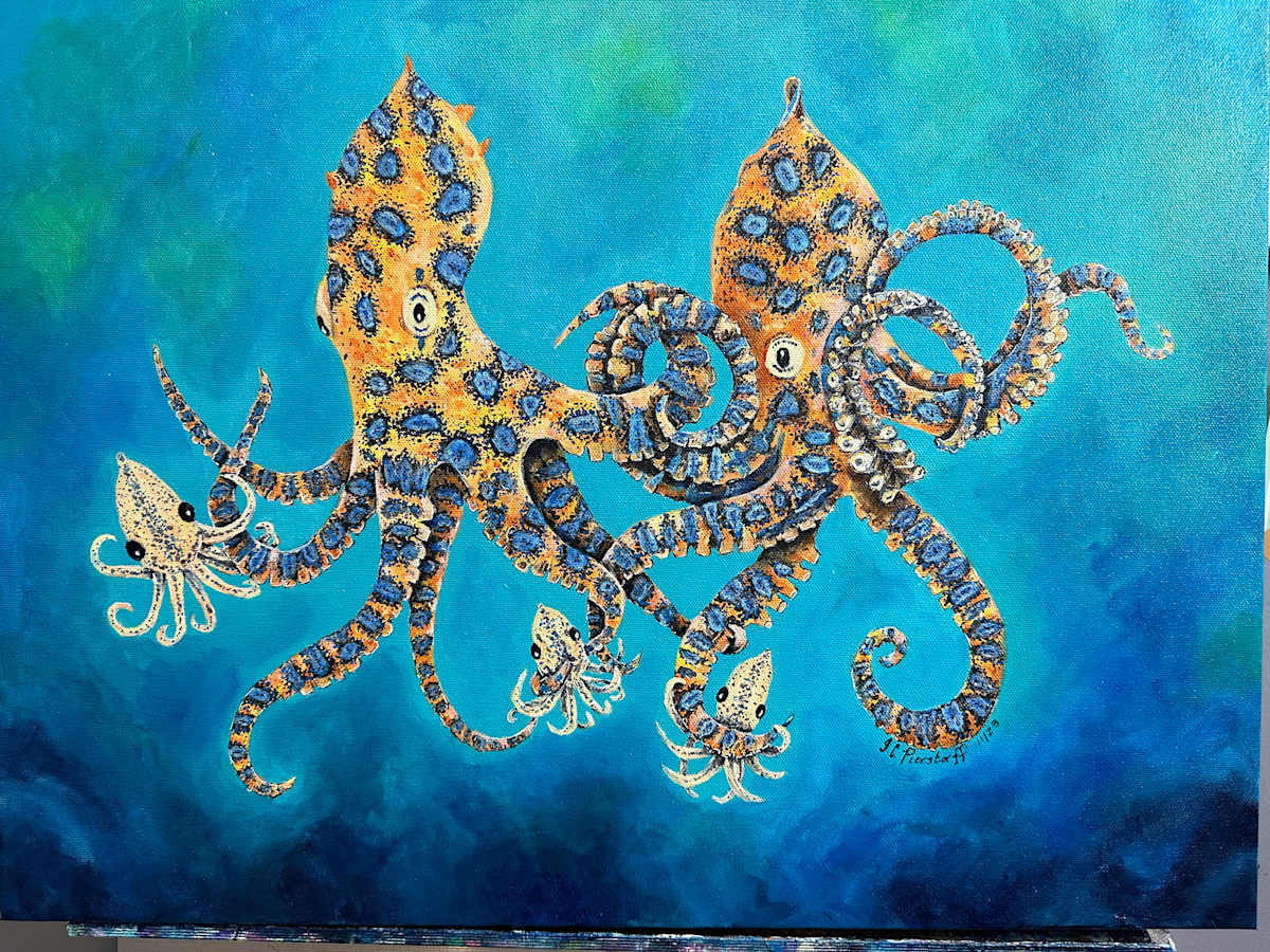 Blue Ring Octopus Family by Jennifer C.  Pierstorff, Image 6.