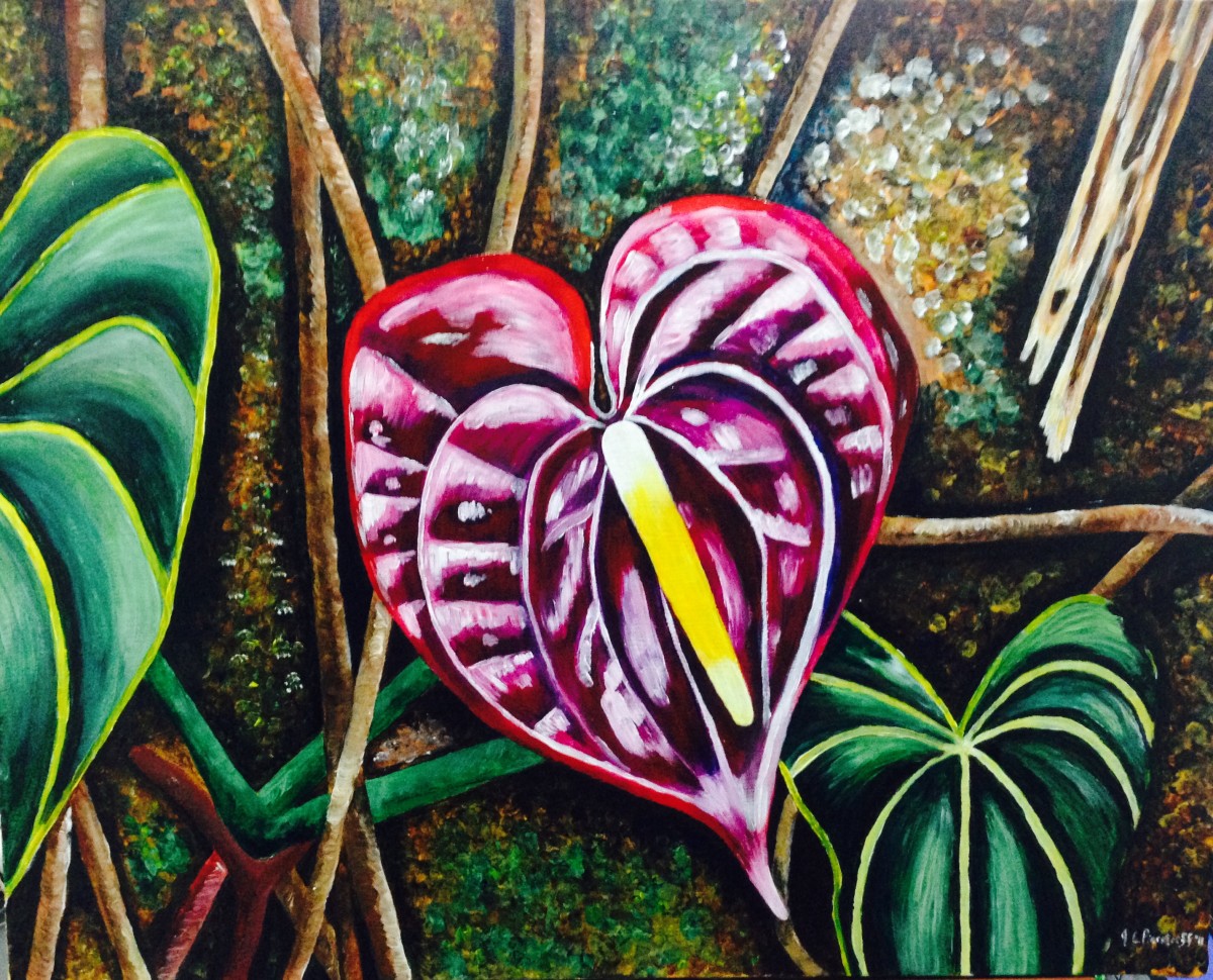 Anthurium in the ferns by Jennifer C.  Pierstorff 