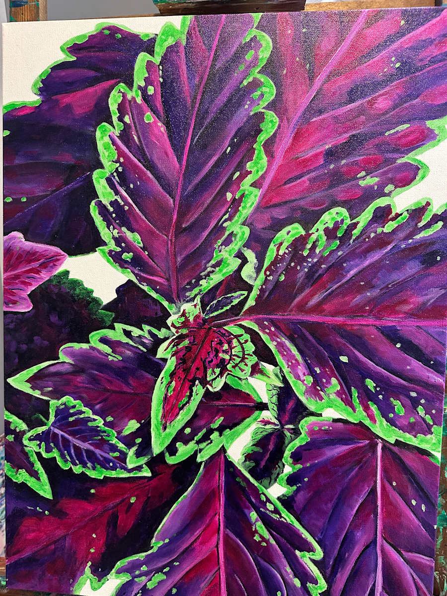 Purple Coleus by Jennifer C.  Pierstorff 