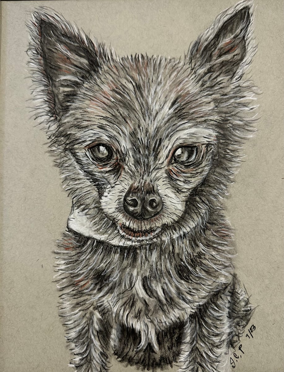 Our Tiny Dog, Little Lady by Jennifer C.  Pierstorff, Image 1.