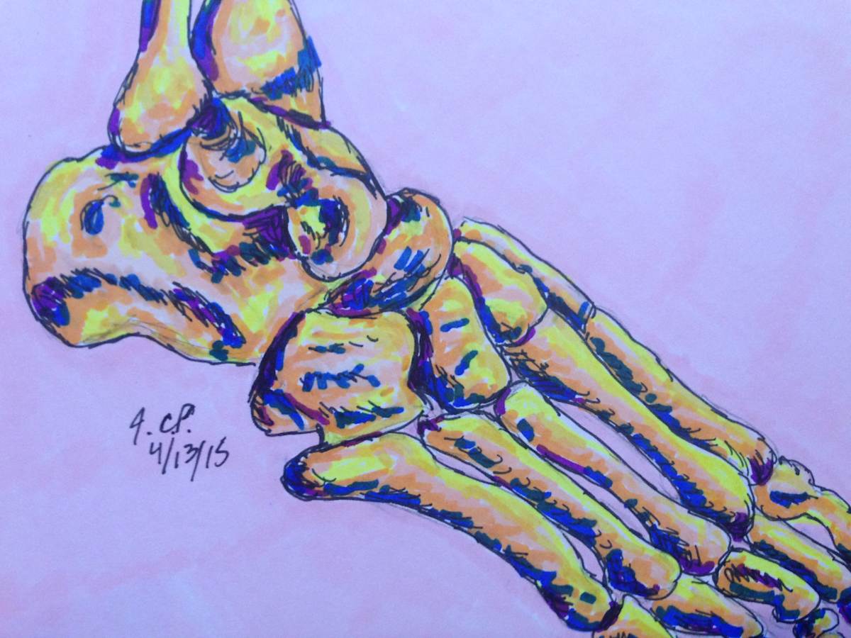 IMG_2428_aik0wp_15 by Jennifer C.  Pierstorff, Image 1.