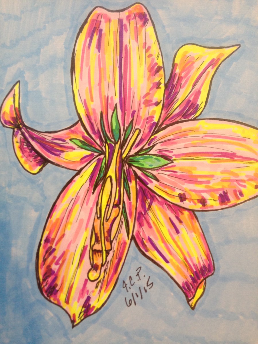 Finger lily by Jennifer C.  Pierstorff 