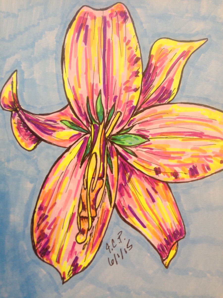 Finger lily by Jennifer C.  Pierstorff 