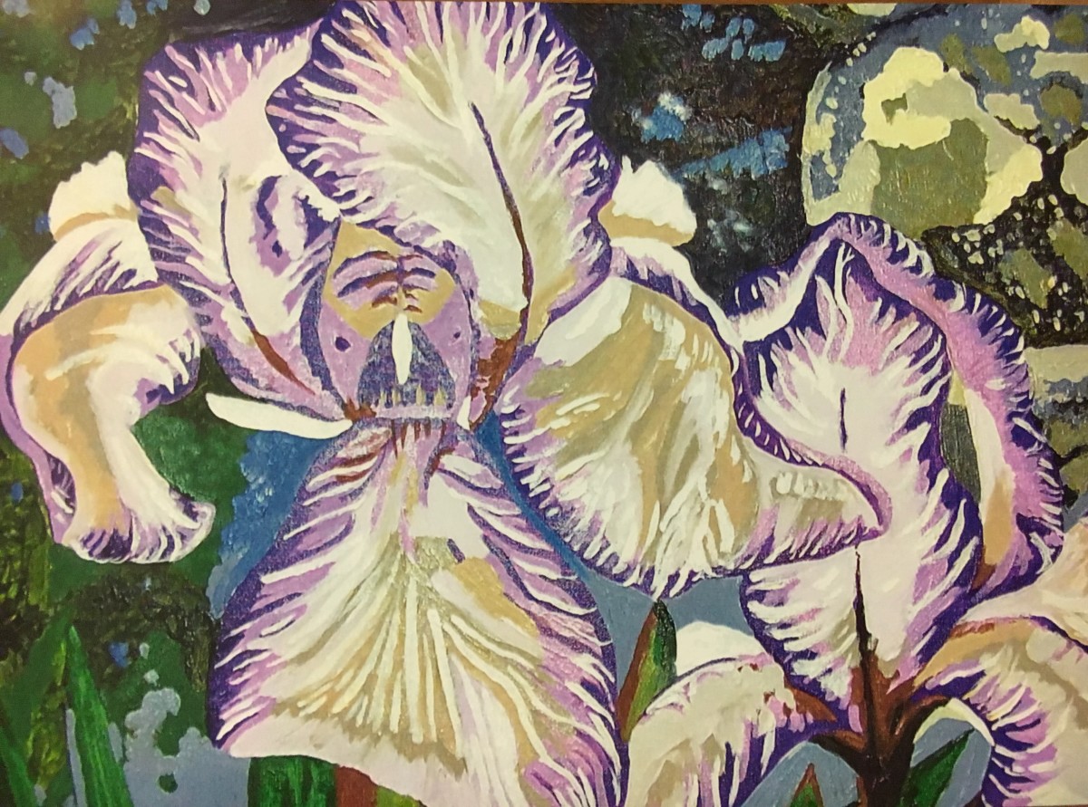 Sheri's iris by Jennifer C.  Pierstorff 