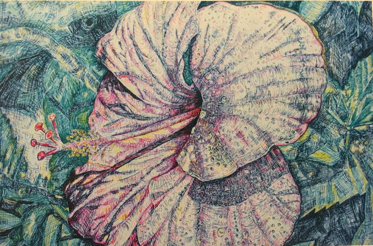 Pink ink hibiscus by Jennifer C.  Pierstorff, Image 1.