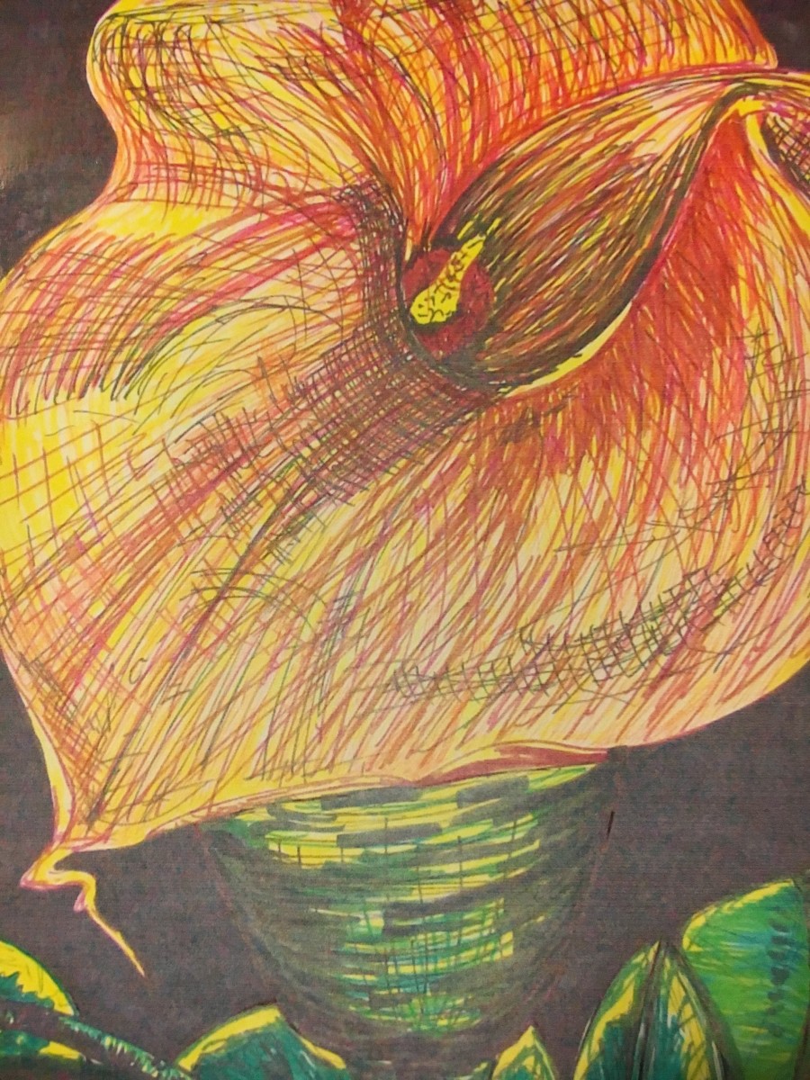 Red ink tulip by Jennifer C.  Pierstorff 