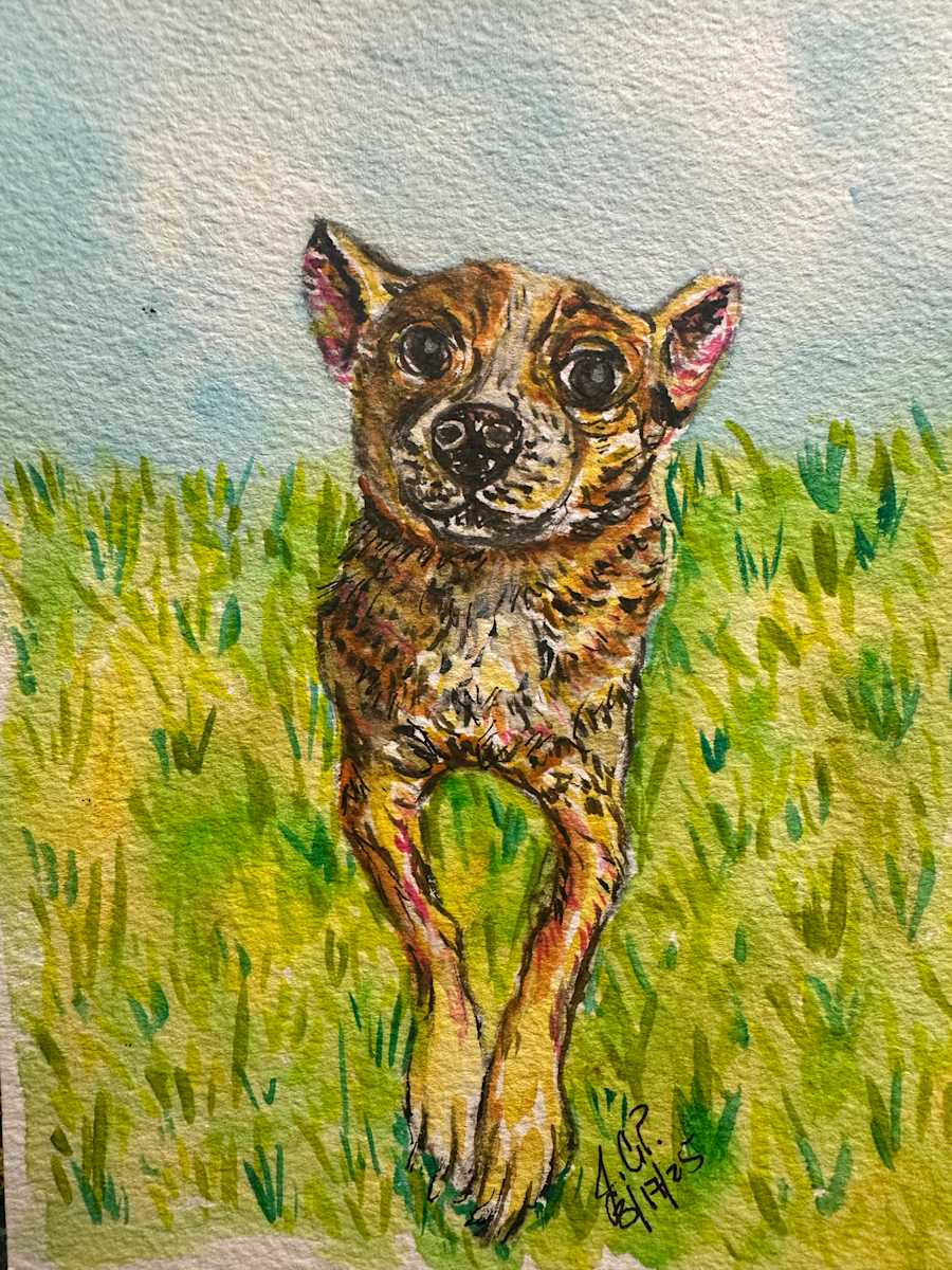 Lucy Soaking up the Sun by Jennifer C.  Pierstorff, Image 1.