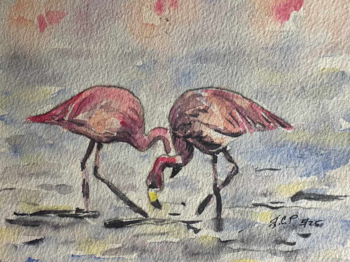 Flamingo Pair in Stormy Skies by Jennifer C.  Pierstorff 