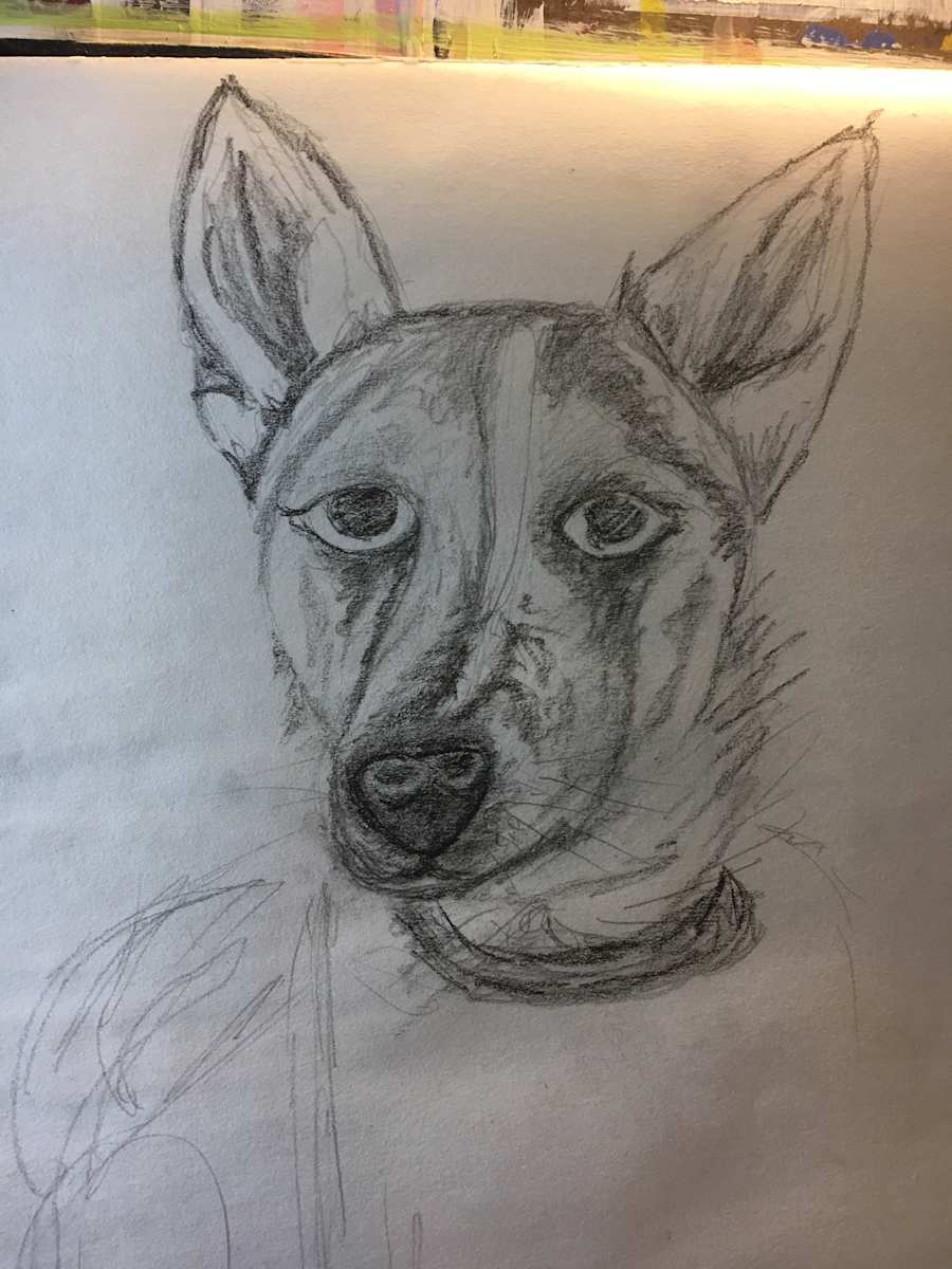 Wendy sketch 1 by Jennifer C.  Pierstorff, Image 1.