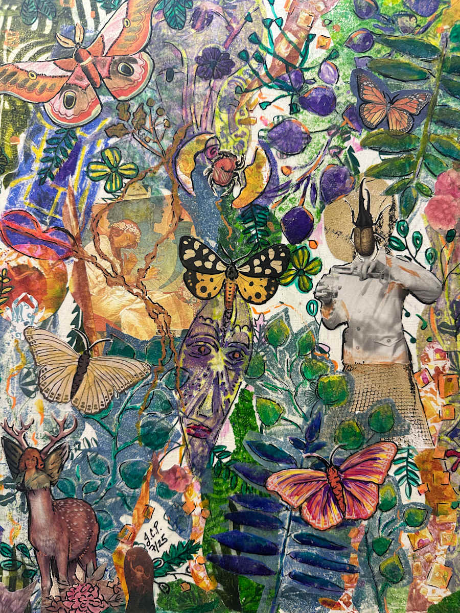 Cross Pollination by Jennifer C.  Pierstorff 