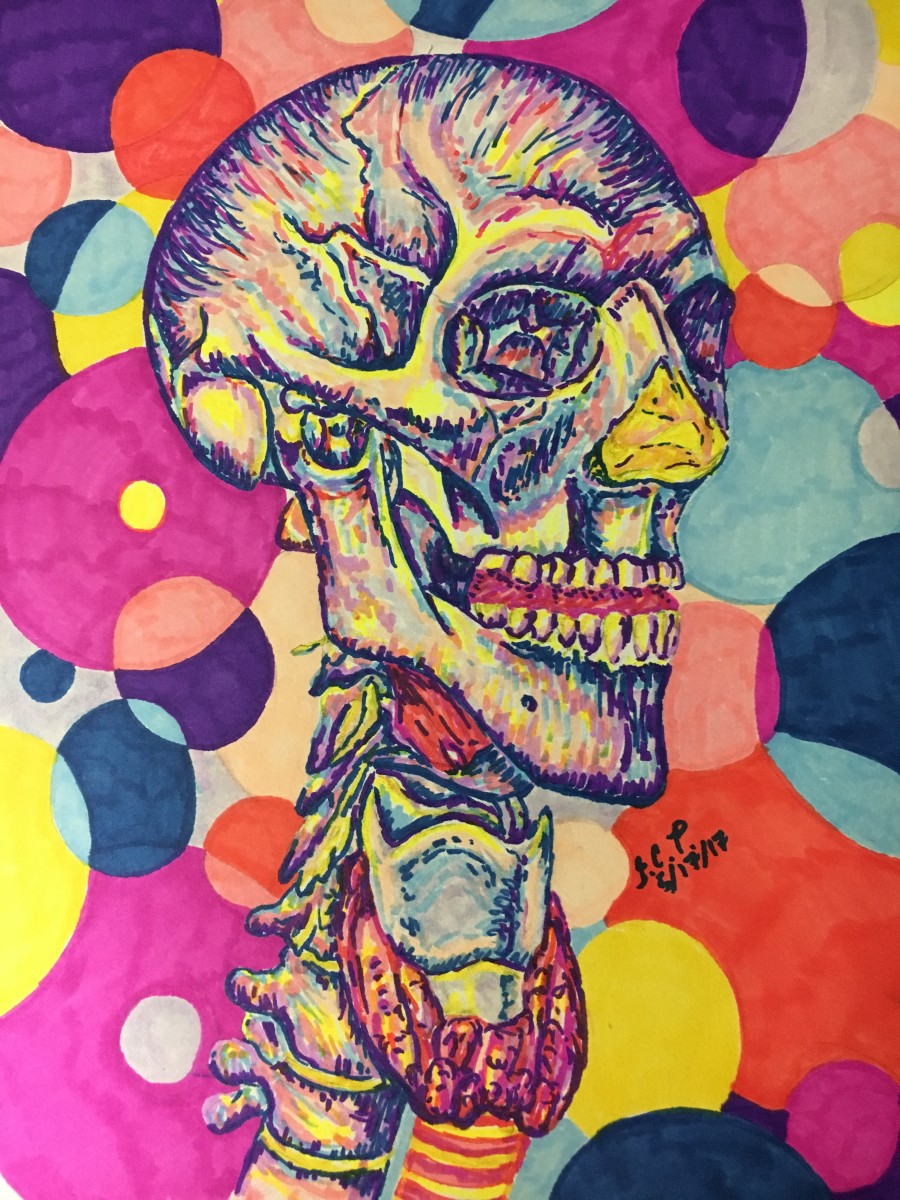 Blue toned anterolateral view of the skull by Jennifer C.  Pierstorff 