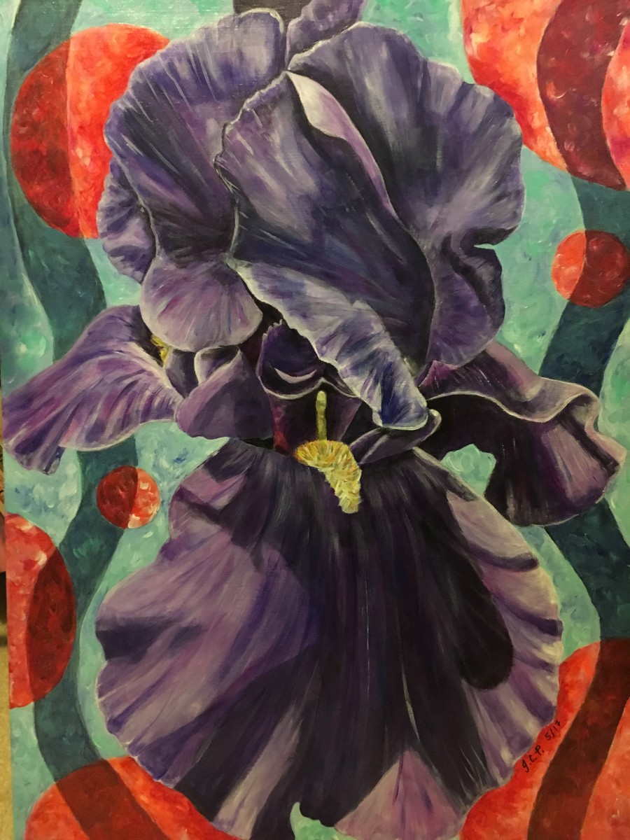 Purple Iris by Jennifer C.  Pierstorff 