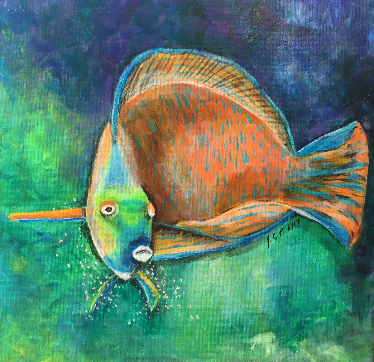 Hawaiian Orange Pearl Wrasse by Jennifer C.  Pierstorff 