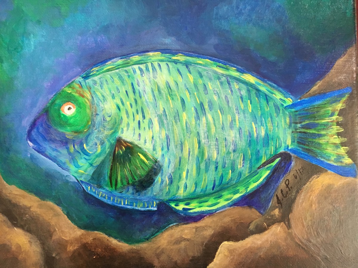 Hawaiian Blue Pearl Wrasse by Jennifer C.  Pierstorff 