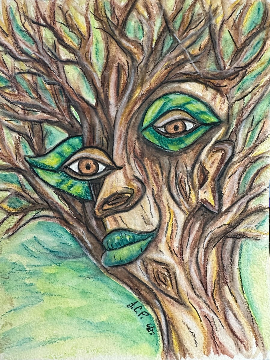 The Wisdom and Soul of the Old Forest by Jennifer C.  Pierstorff 