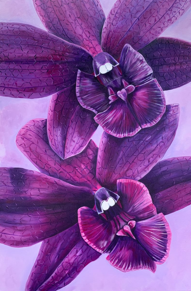 Healing Properties of a Purple Orchid by Jennifer C.  Pierstorff 