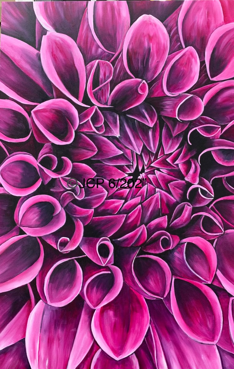 The Evolving Bloom of the Bubblegum Dahlia by Jennifer C.  Pierstorff 