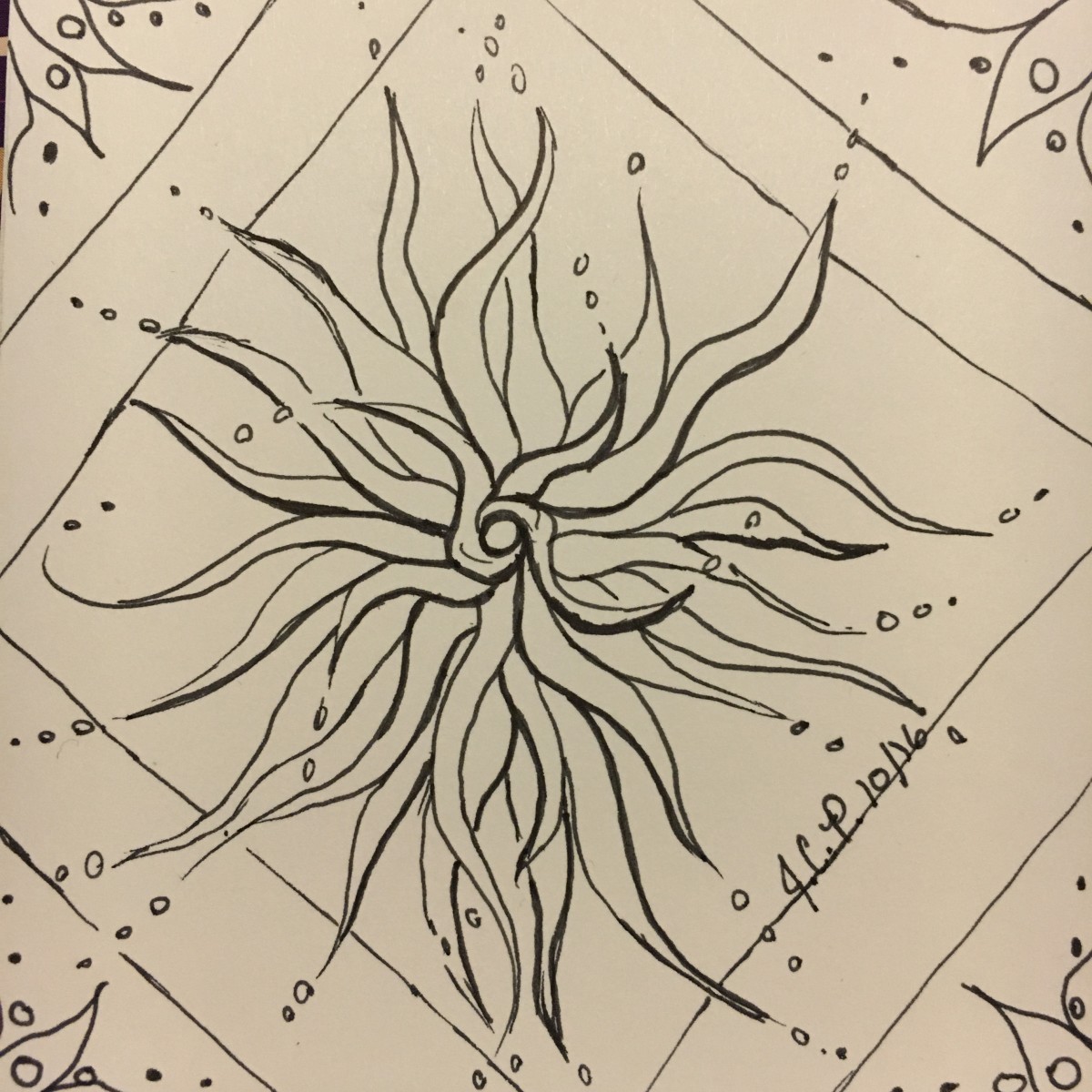 Fireflower by Jennifer C.  Pierstorff 