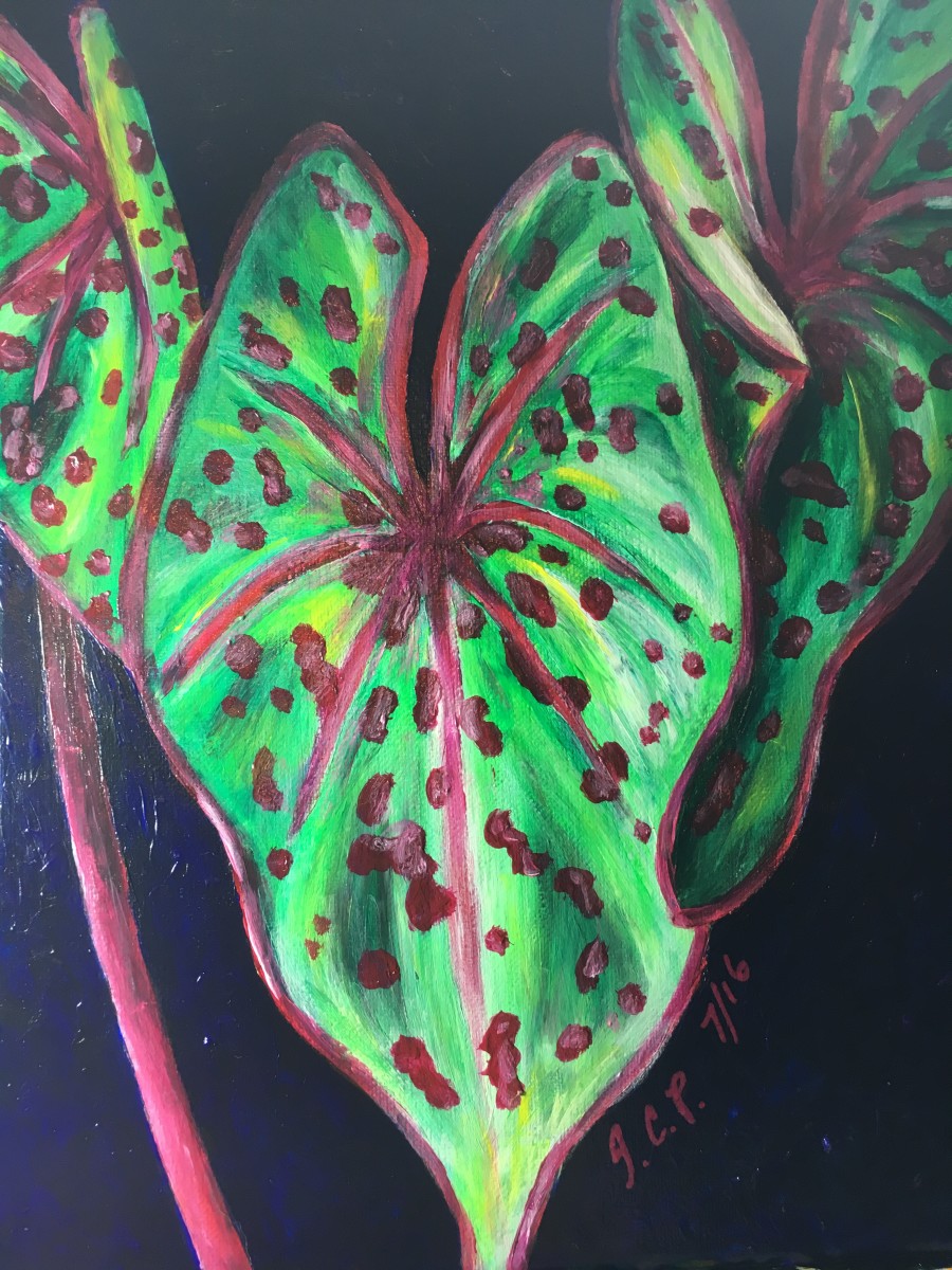 Red and Green Taro Leaf by Jennifer C.  Pierstorff 