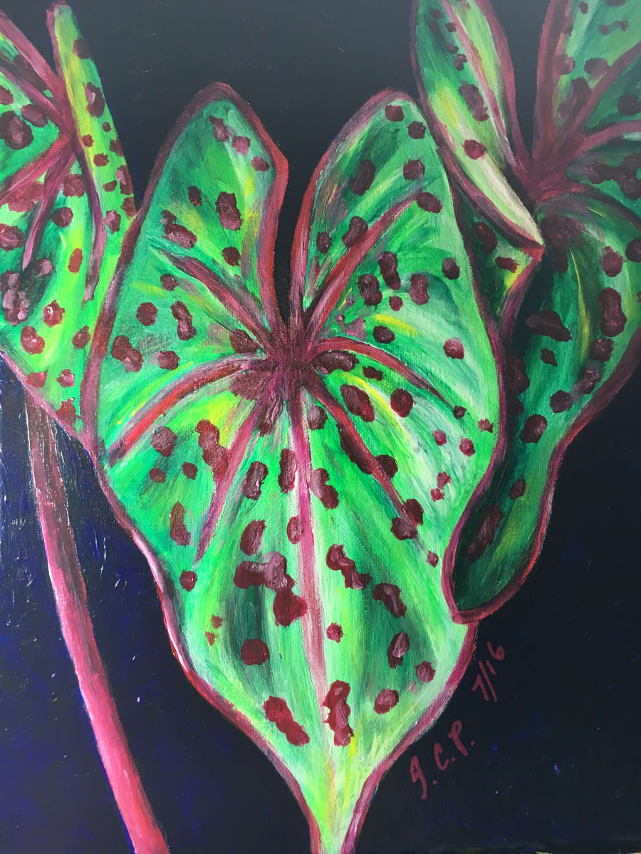 Red and Green Taro Leaf by Jennifer C.  Pierstorff, Image 1.