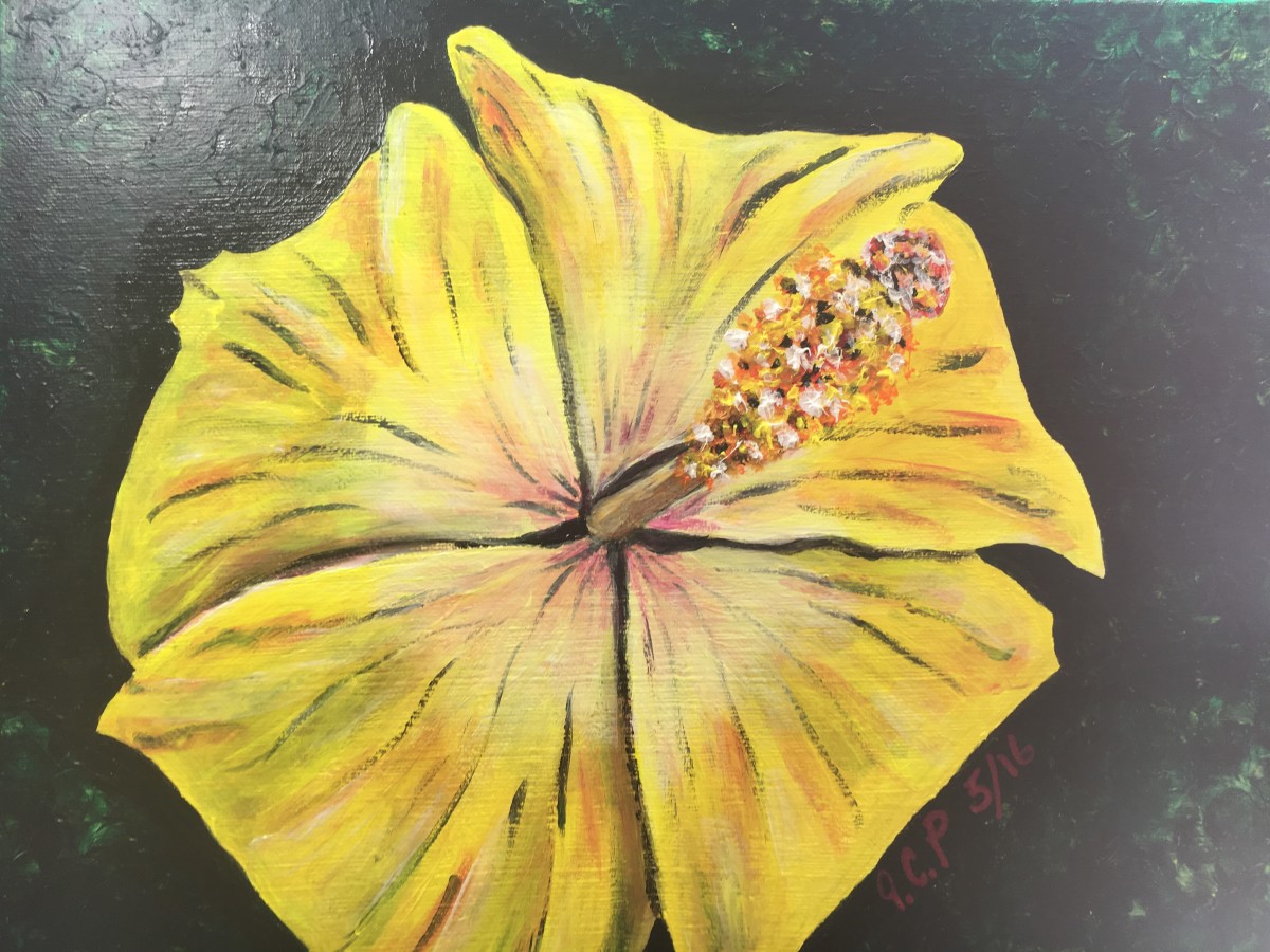 Yellow Hibiscus by Jennifer C.  Pierstorff 