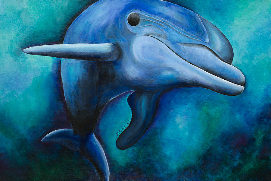Dolly, the Smiling Dolphin by Jennifer C.  Pierstorff 