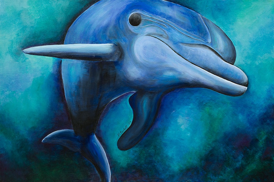 Dolly, the Smiling Dolphin by Jennifer C.  Pierstorff, Image 1.