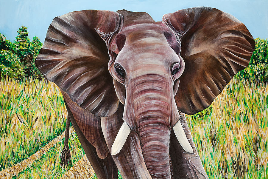 Elephant in the Grass by Jennifer C.  Pierstorff, Image 1.