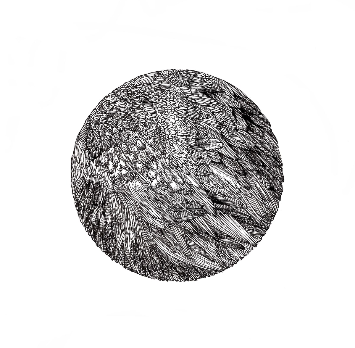 Birdsphere by Lucie Van der Elst 