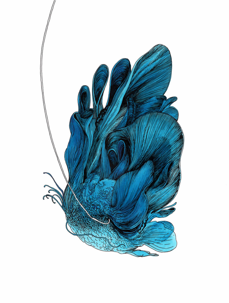Fish (unframed) by Lucie Van der Elst 