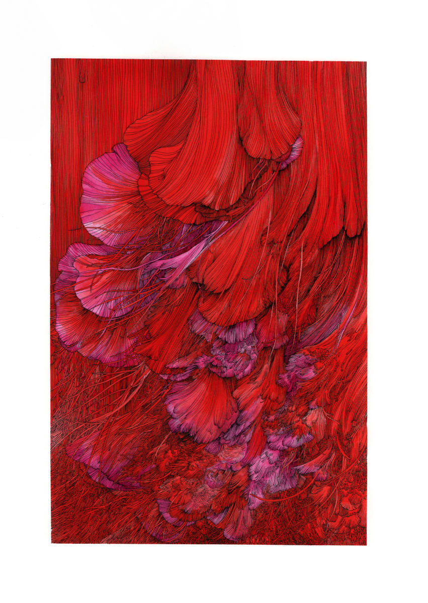 Half a Square Foot of Hope by Lucie Van der Elst, Image 1.