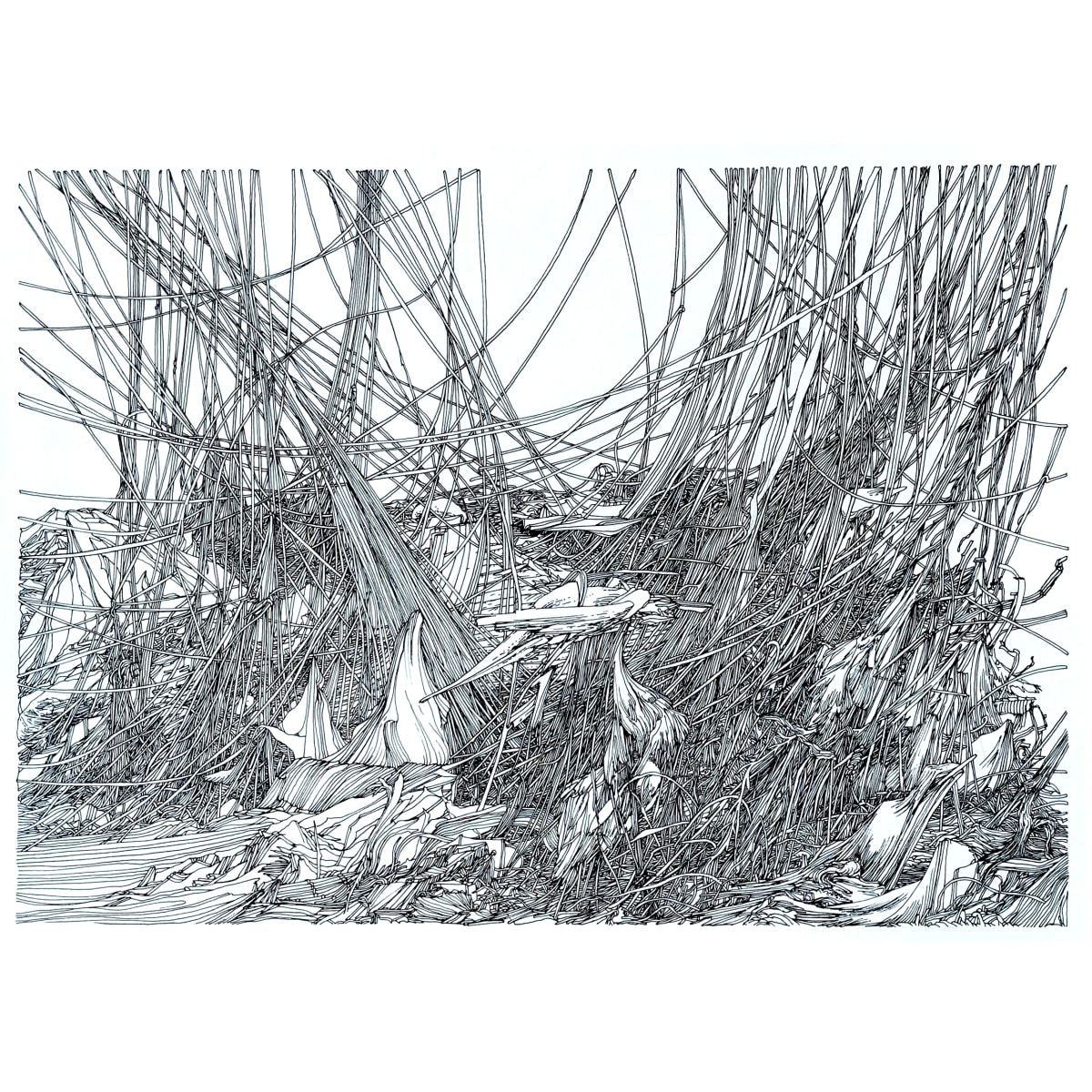 Eons by Lucie Van der Elst, Image 4.