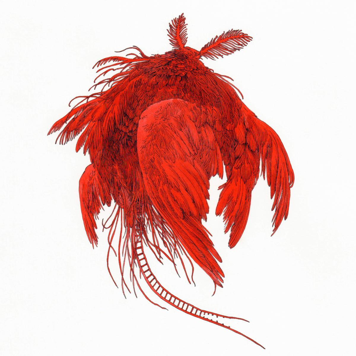 Floating by Lucie Van der Elst, Image 1.