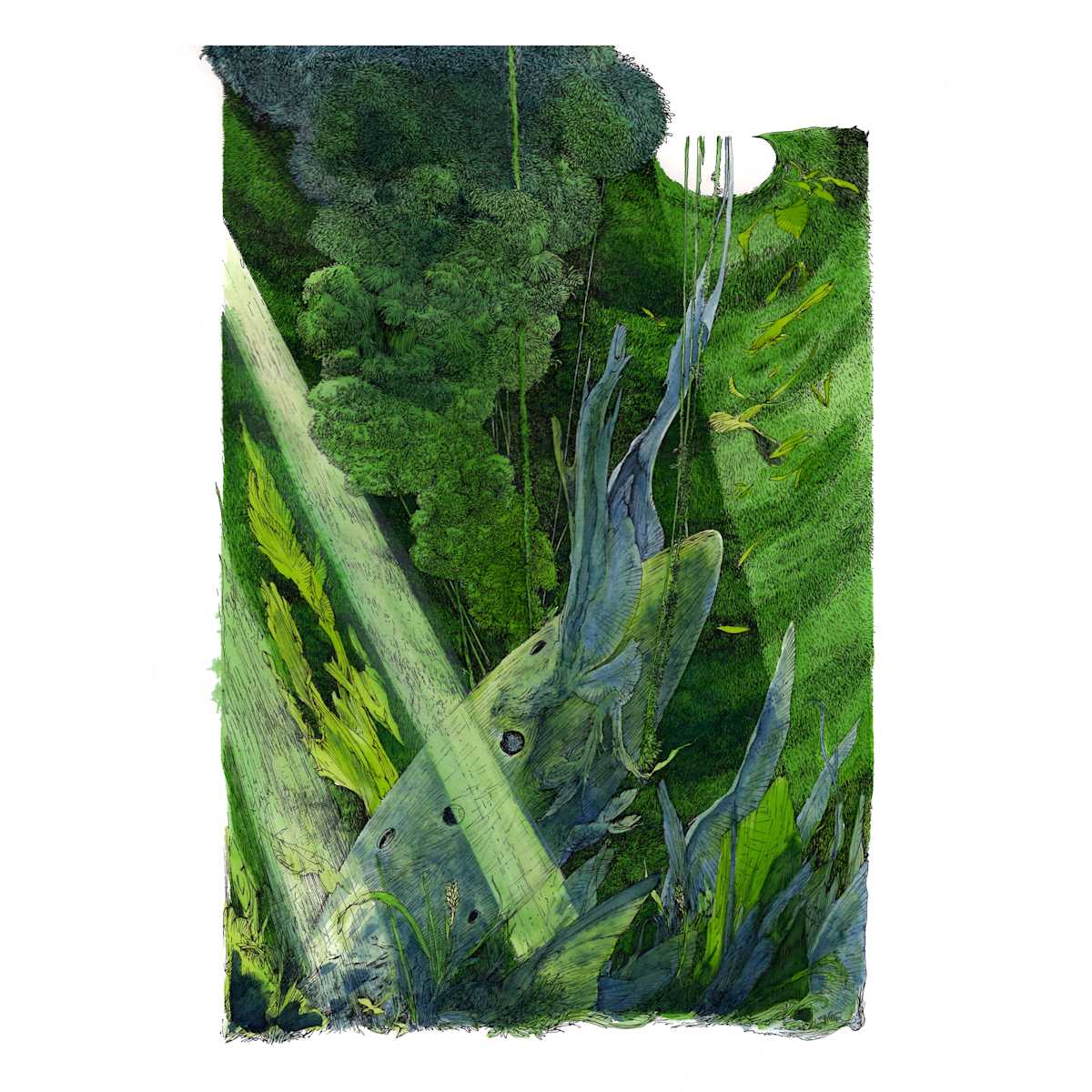 Forgotten Melodies by Lucie Van der Elst, Image 1.