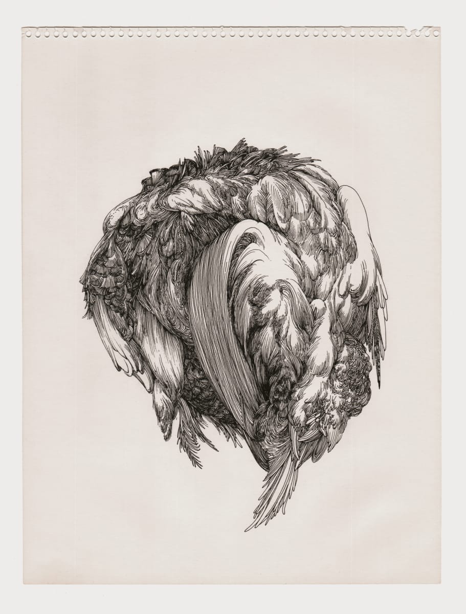 Bird 1 by Lucie Van der Elst 